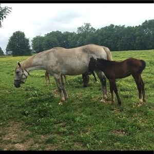 Meet your Posher, Hope